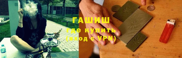 гидра Кодинск