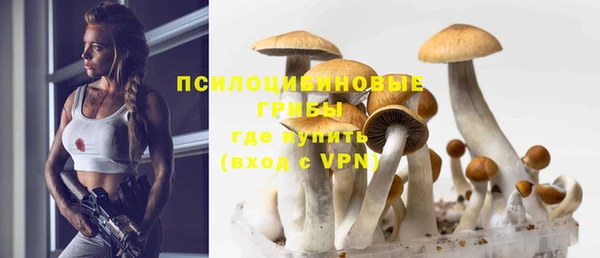 MDMA Козловка