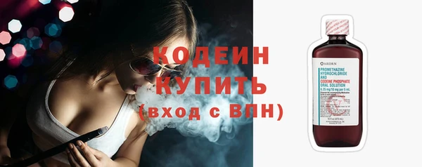 гидра Кодинск