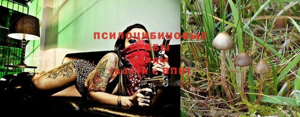 гидра Кодинск