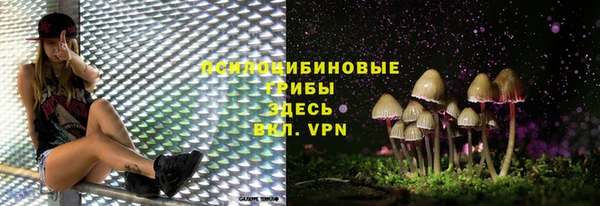 MDMA Козловка