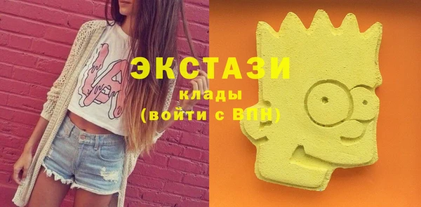 гидра Кодинск