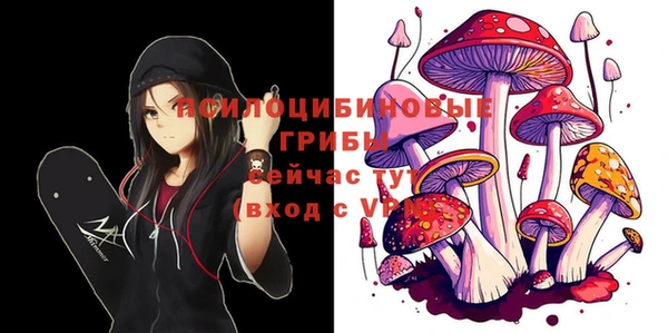 гидра Кодинск