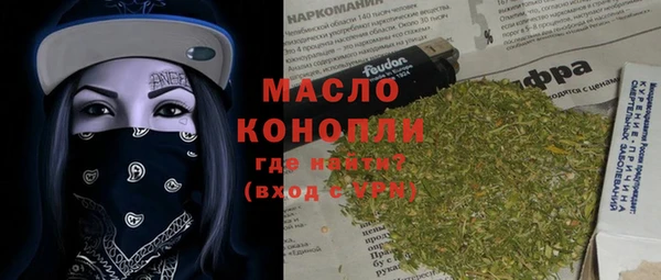 гидра Кодинск
