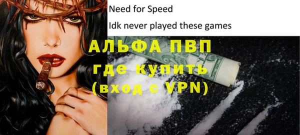 гидра Кодинск