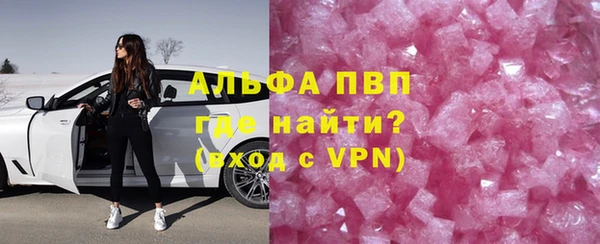 гидра Кодинск