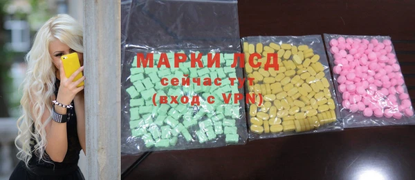 гидра Кодинск