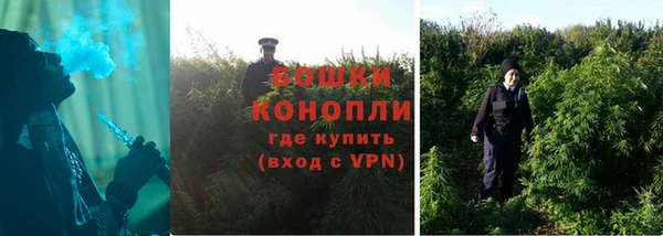 гидра Кодинск
