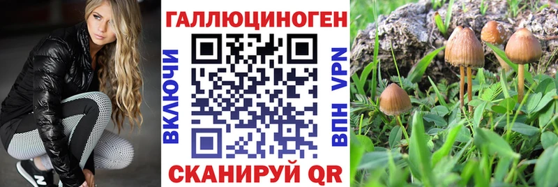Псилоцибиновые грибы GOLDEN TEACHER Купить где Никольское